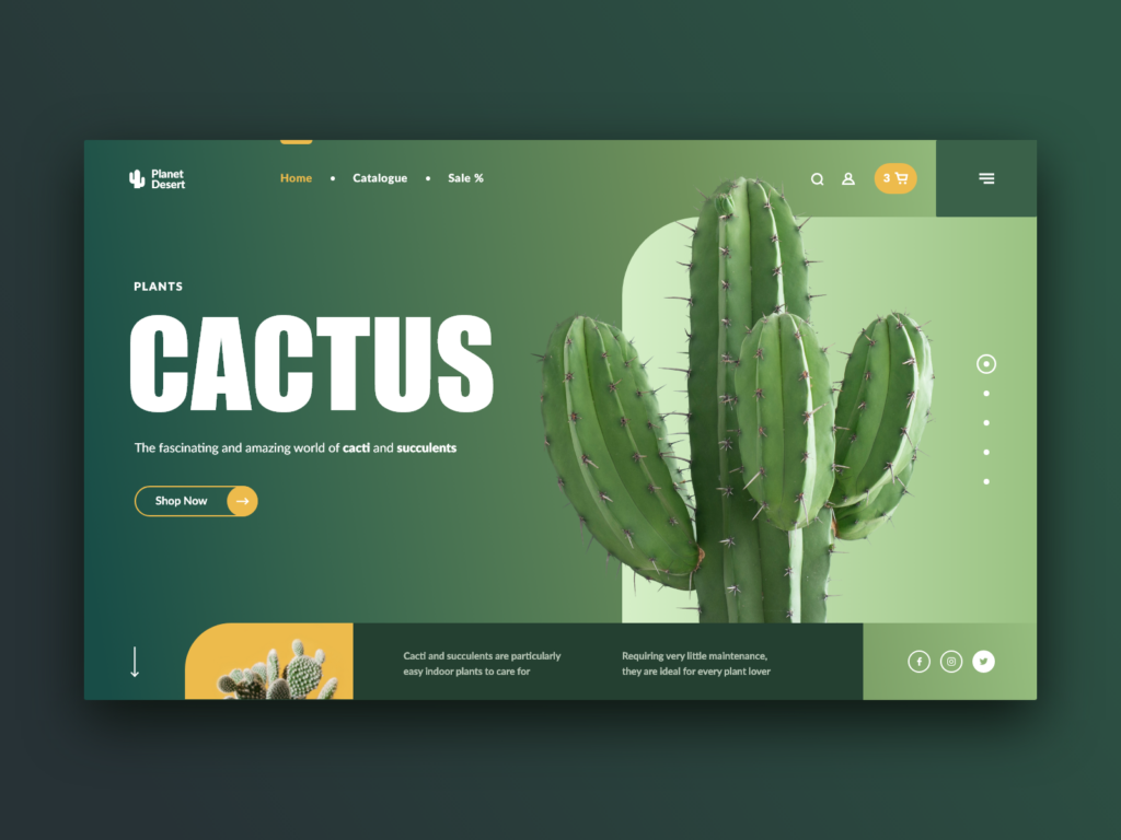 Easy to use cactus ai